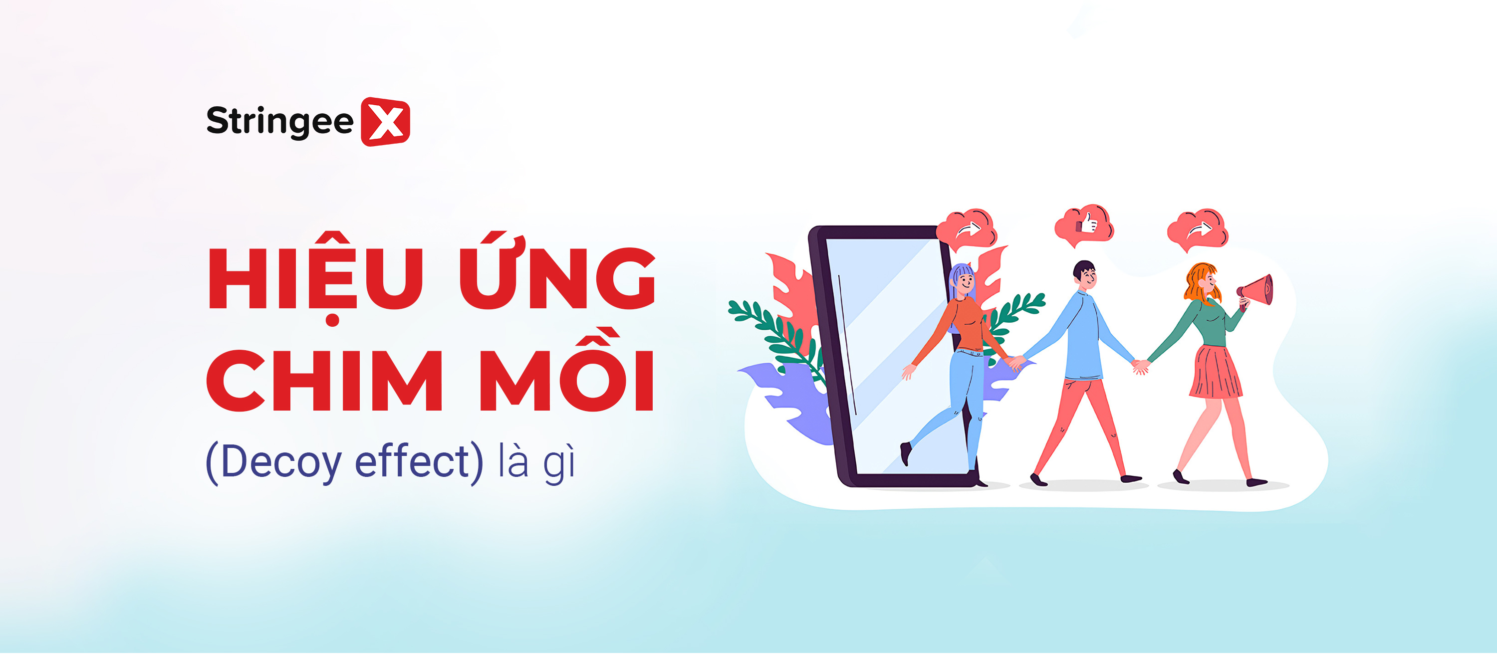Ảnh hưởng của mô hình kinh tế hành vi đến hiệu ứng chim mồi