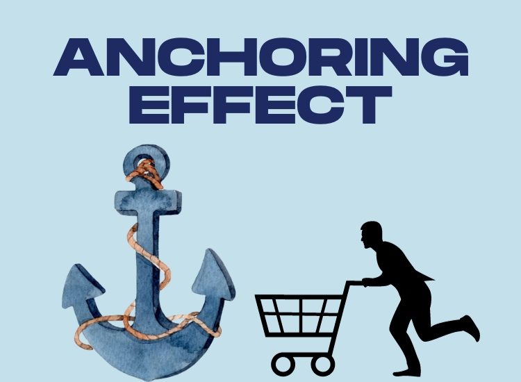 Cách áp dụng Hiệu ứng Anchoring trong chiến lược định giá