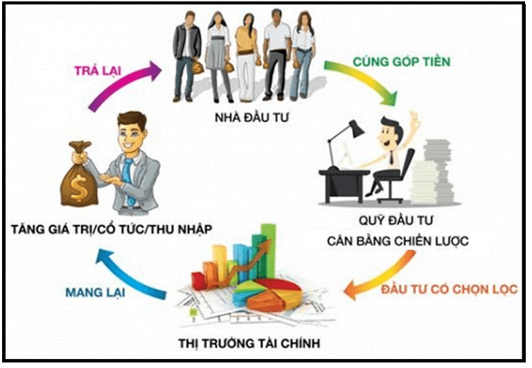 Cách hoạt động của thị trường tài chính