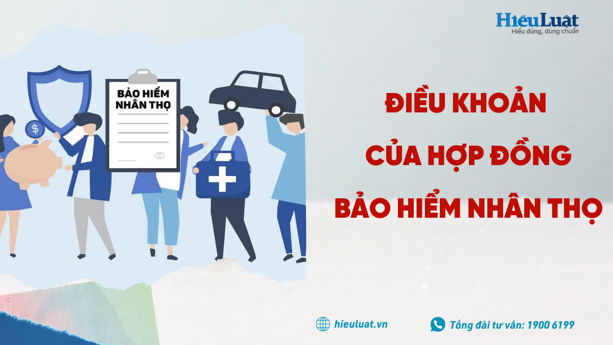 Điều khoản quan trọng trong hợp đồng bảo hiểm
