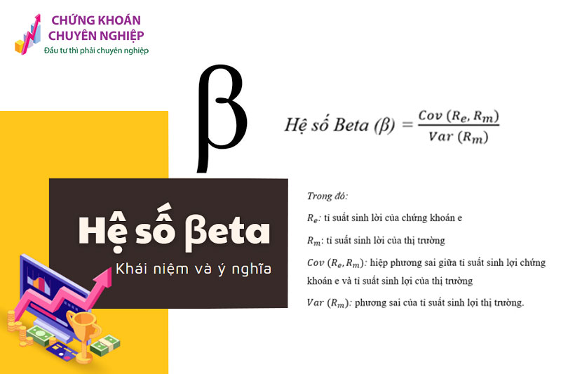 Hệ số beta và thị trường