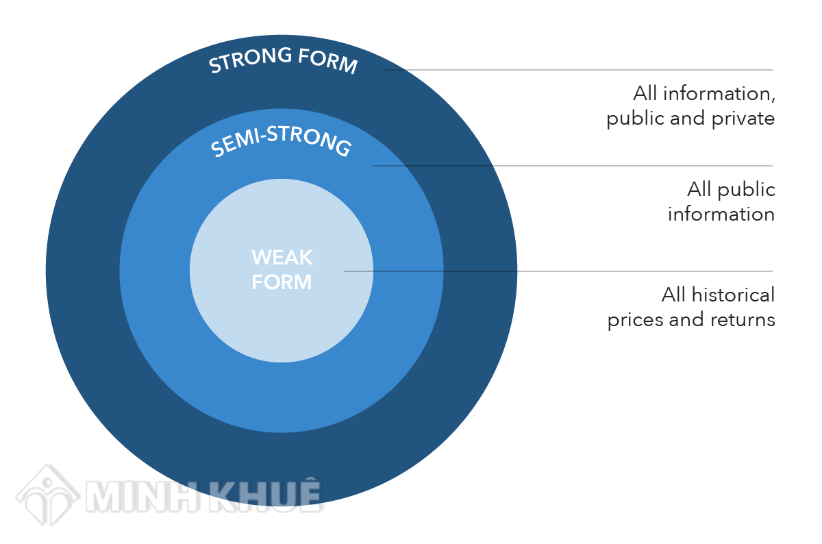 Kết luận về hiệu quả thị trường  