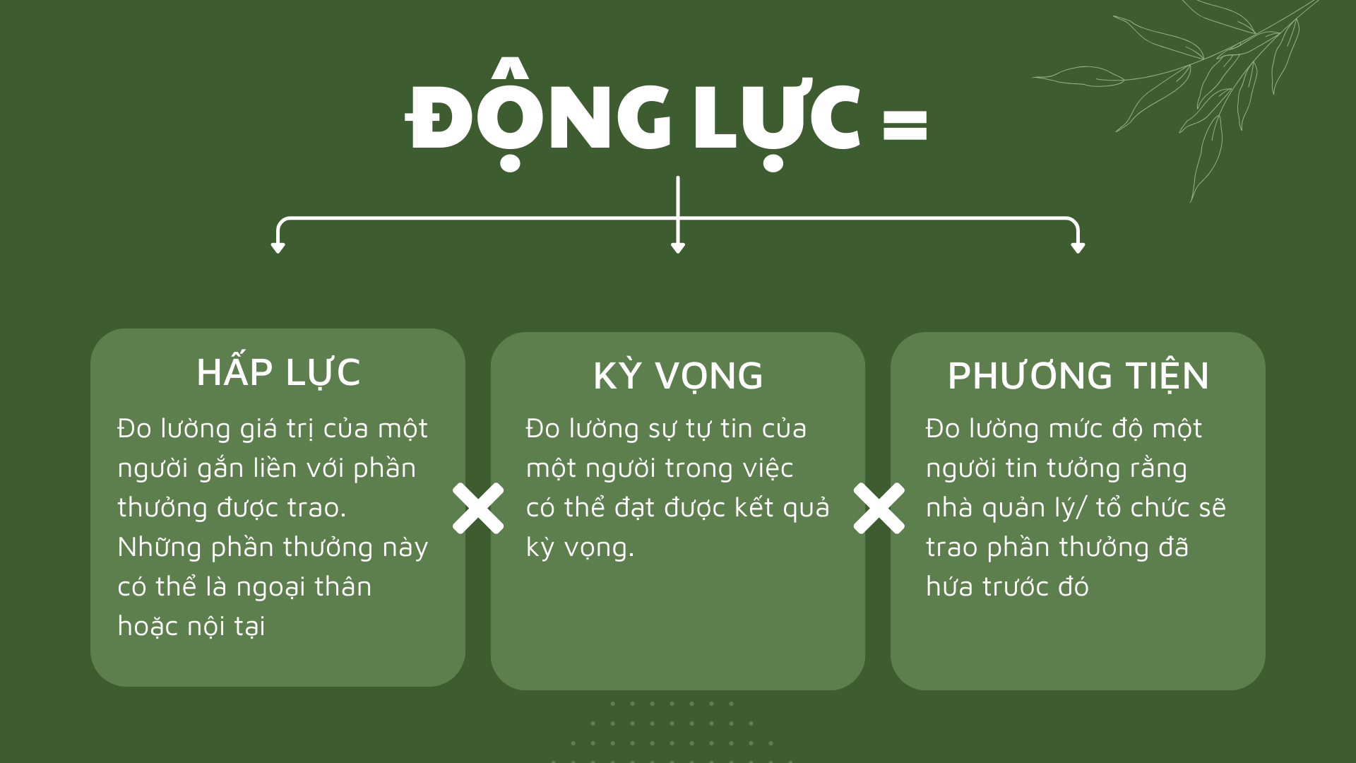 Kết luận về lý thuyết kỳ vọng hợp lý