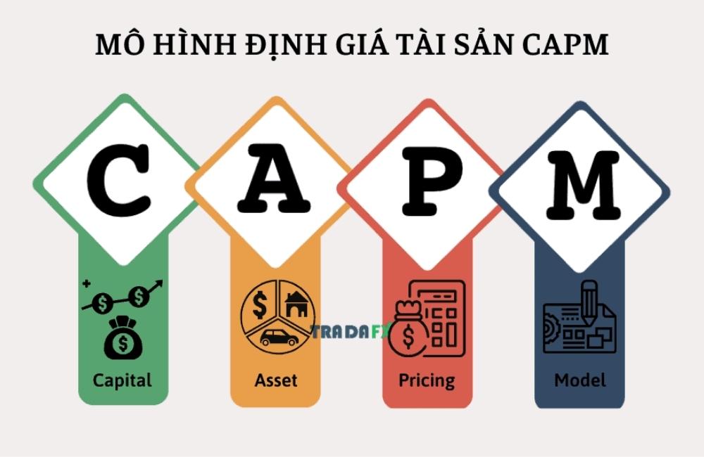 Mô hình định giá tài sản trong thực tiễn