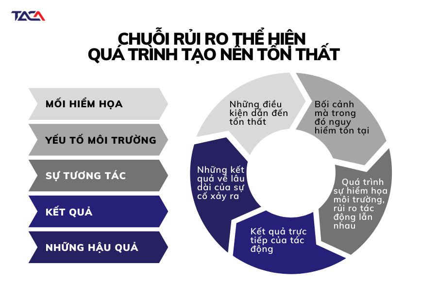 Nguyên nhân và tác động của rủi ro hệ thống