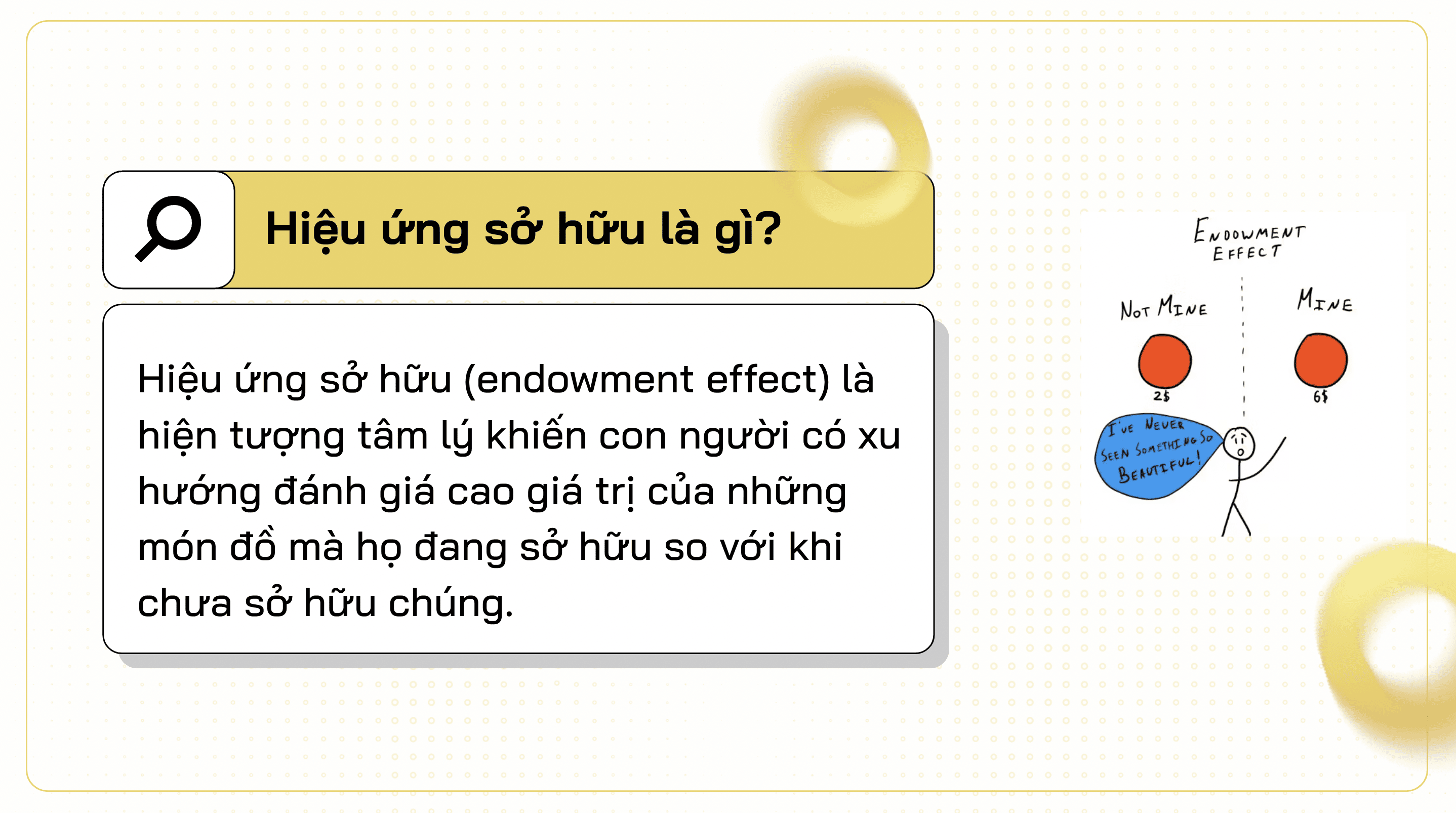 Tác động của Endowment effect và sự thiên lệch trong đánh giá