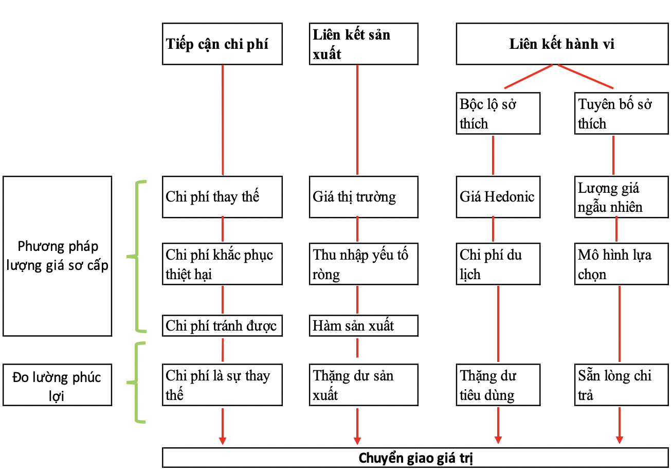 Tổng kết: Lợi ích và thách thức của Hedonic Adaptation