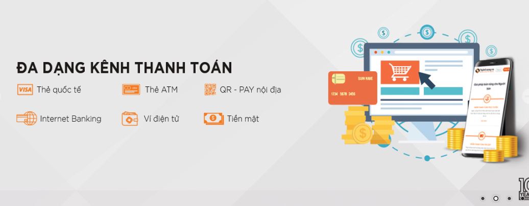 Tổng quan về Ví ngân lượng