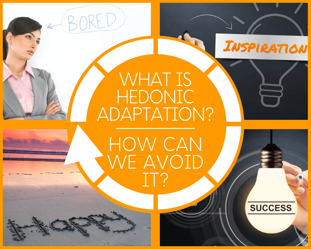 Ý nghĩa của Hedonic Adaptation